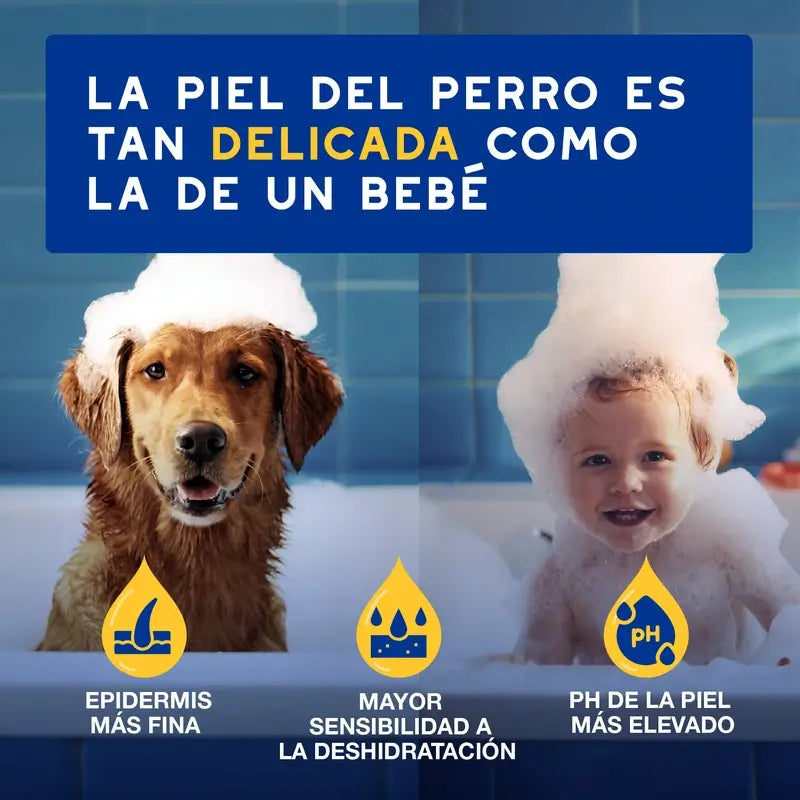 Douxo Skin & Coat Spa Acondicionador De Avena Para Perros, 250 ml