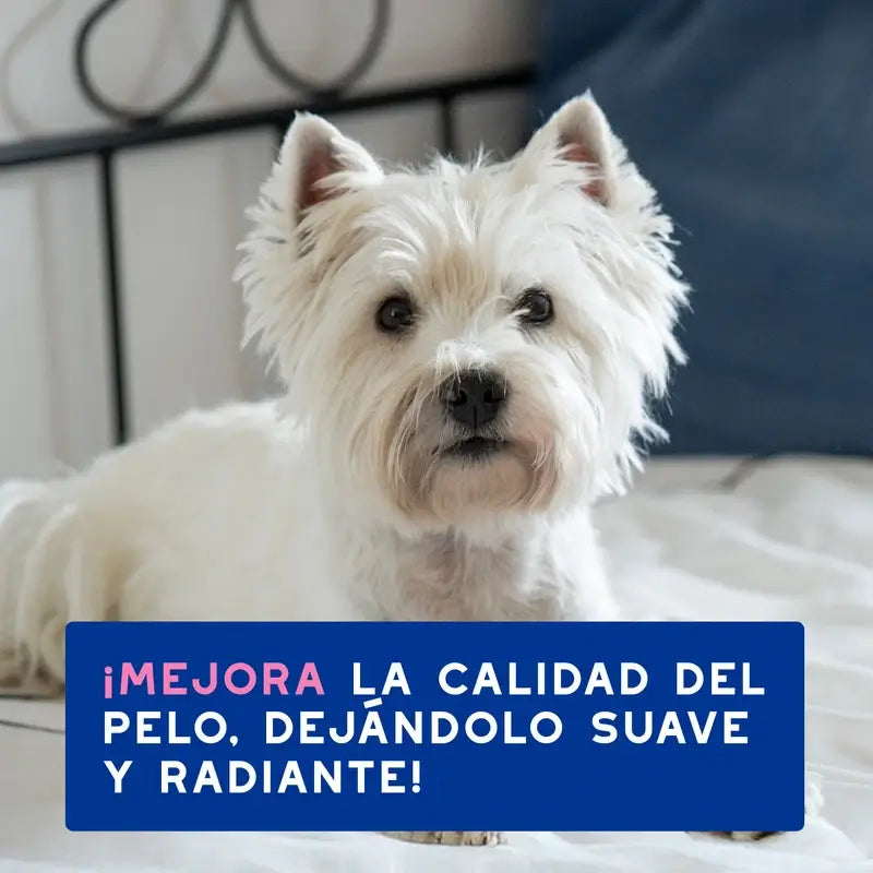 Douxo Skin & Coat Spa Champú Aliviante Para Perros, 250 ml