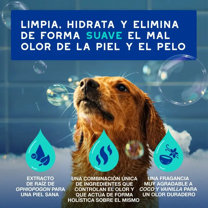 Douxo Skin & Coat Spa Champú Antiolor Para Perros, 250 ml