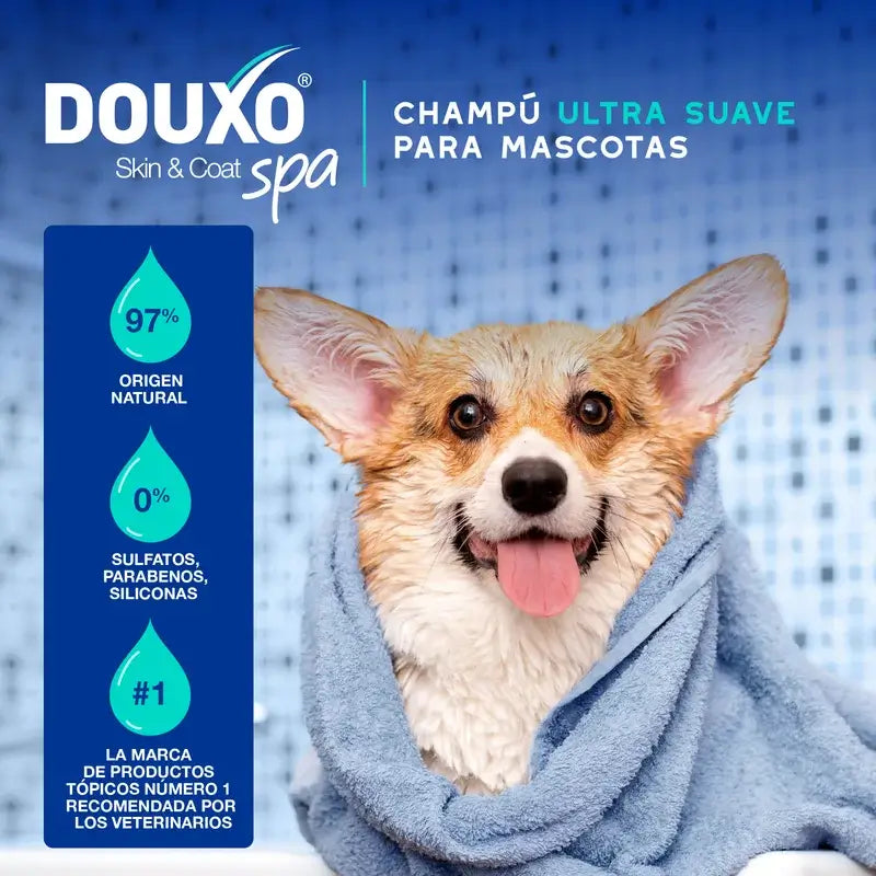 Douxo Skin & Coat Spa Champú Antiolor Para Perros, 250 ml