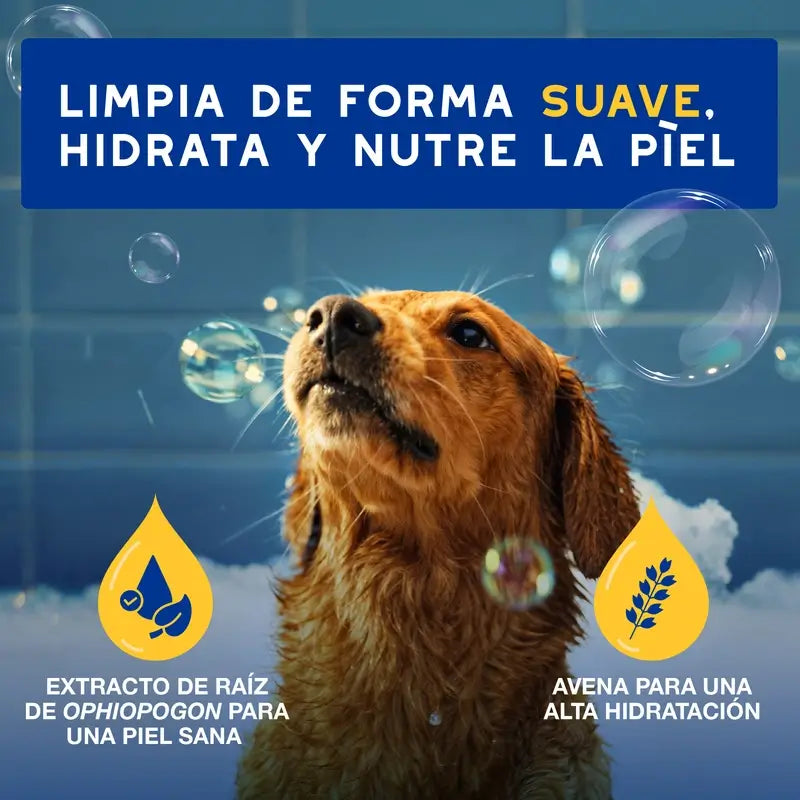 Douxo Skin & Coat Spa Champú De Avena Para Perros, 250 ml