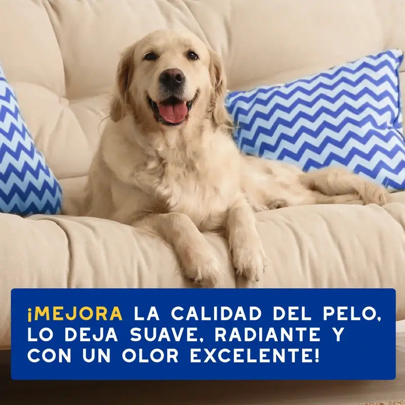 Douxo Skin & Coat Spa Champú De Avena Para Perros, 250 ml