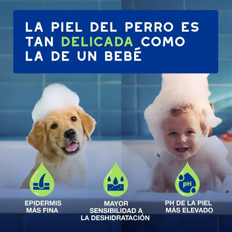 Douxo Skin & Coat Spa Champú Para Cachorros, 250 ml