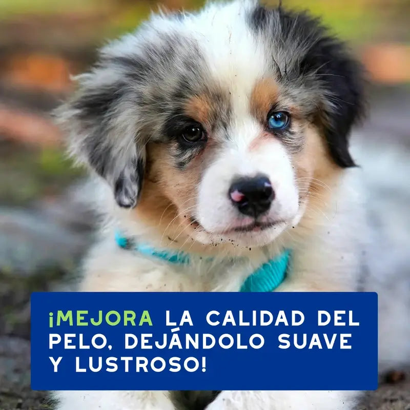 Douxo Skin & Coat Spa Champú Para Cachorros, 250 ml