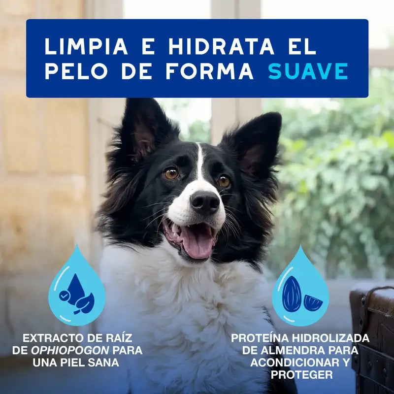 Douxo Skin & Coat Spa Espuma Ultra Suave Para Limpieza Exprés, 150 ml