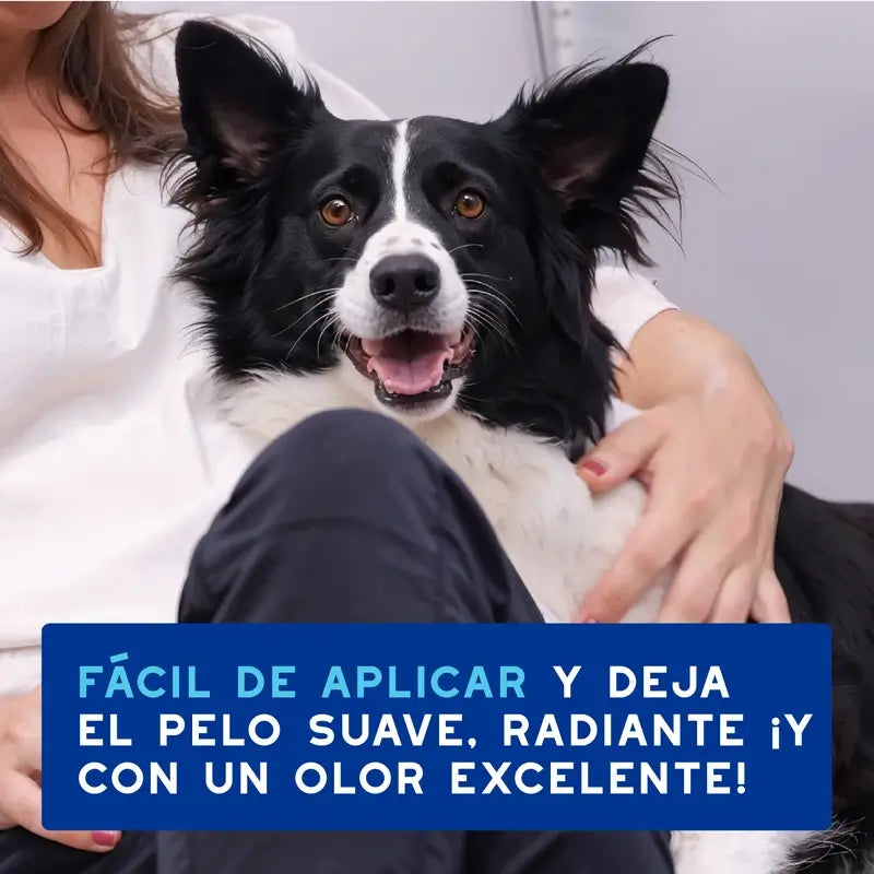 Douxo Skin & Coat Spa Espuma Ultra Suave Para Limpieza Exprés, 150 ml