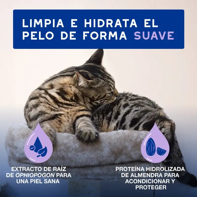 Douxo Skin & Coat Spa Limpieza Ultra Suave Para Limpieza Sin Estrés Gato, 150 ml