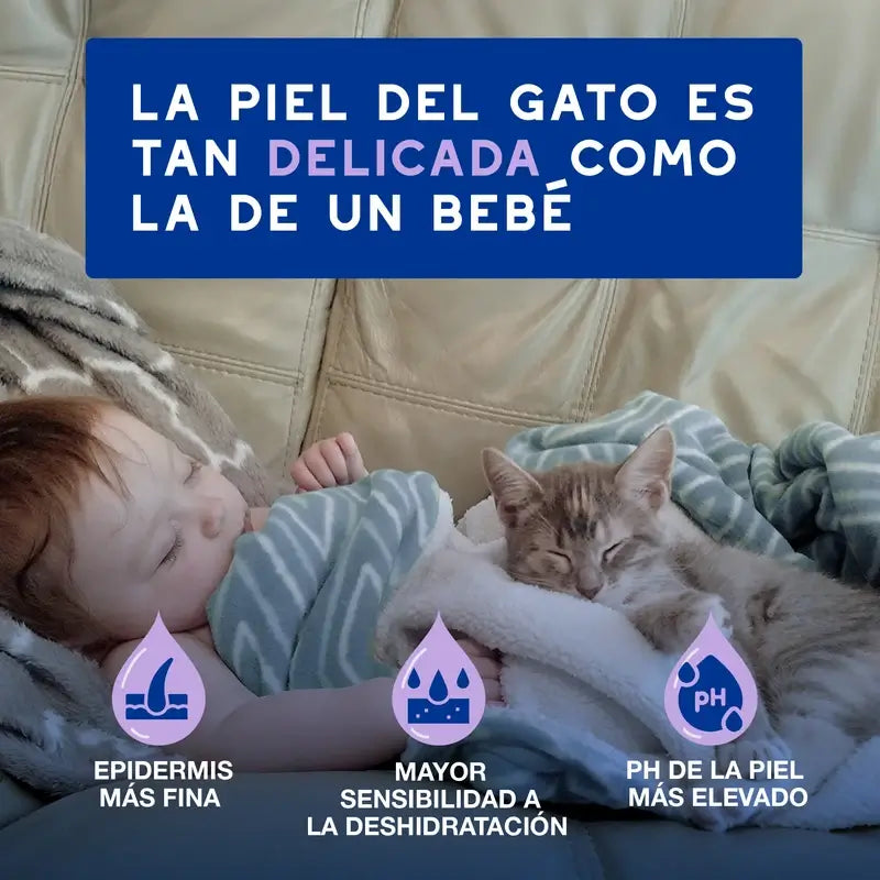 Douxo Skin & Coat Spa Limpieza Ultra Suave Para Limpieza Sin Estrés Gato, 150 ml