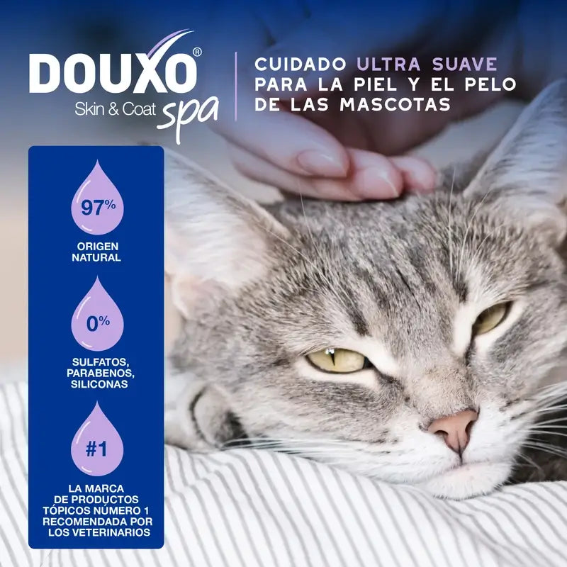 Douxo Skin & Coat Spa Limpieza Ultra Suave Para Limpieza Sin Estrés Gato, 150 ml