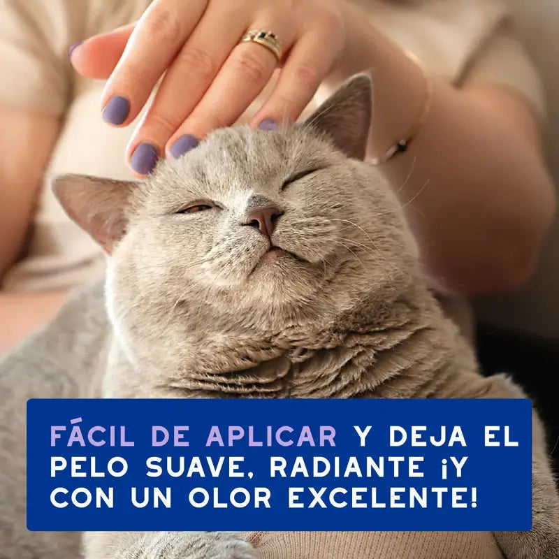 Douxo Skin & Coat Spa Limpieza Ultra Suave Para Limpieza Sin Estrés Gato, 150 ml