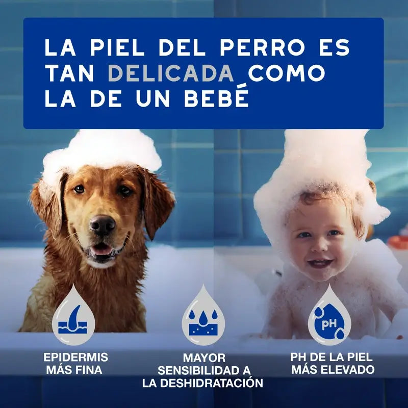 Douxo Skin & Coat Spa Toallitas Multiusos Para Perros Y Gatos, 100 unidades