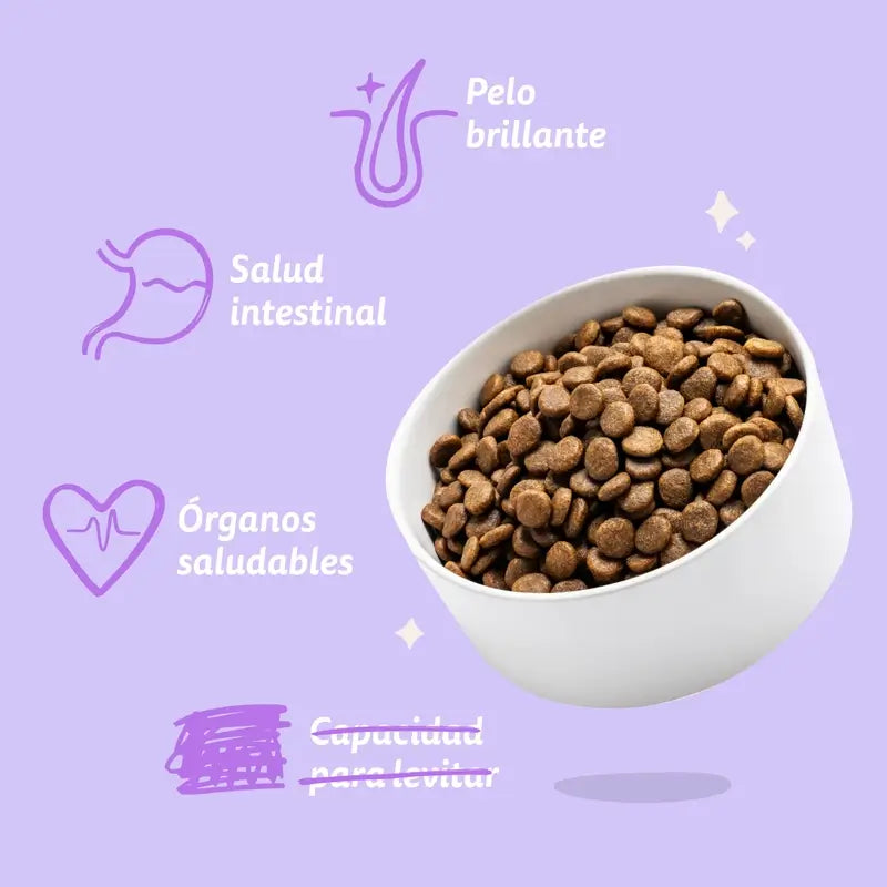 Edgard & Cooper Pienso Para Cachorros Medianos Con Salmón Y Pavo Frescos , 2,5 kg