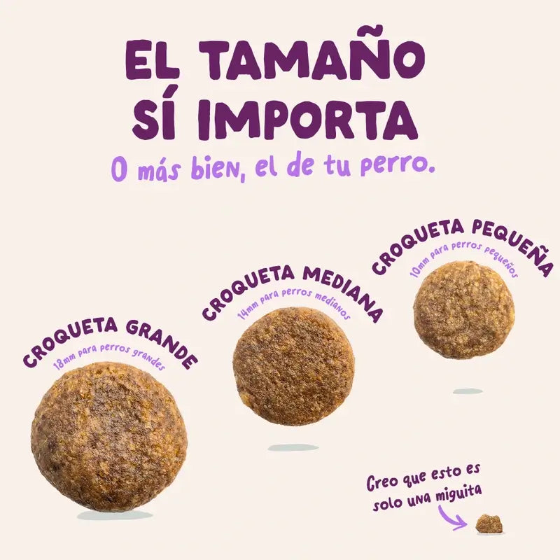 Edgard & Cooper Pienso Para Cachorros Medianos Con Salmón Y Pavo Frescos , 7 kg