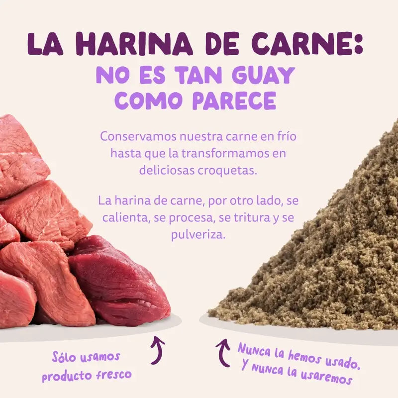 Edgard & Cooper Pienso Para Cachorros Medianos Con Salmón Y Pavo Frescos , 7 kg