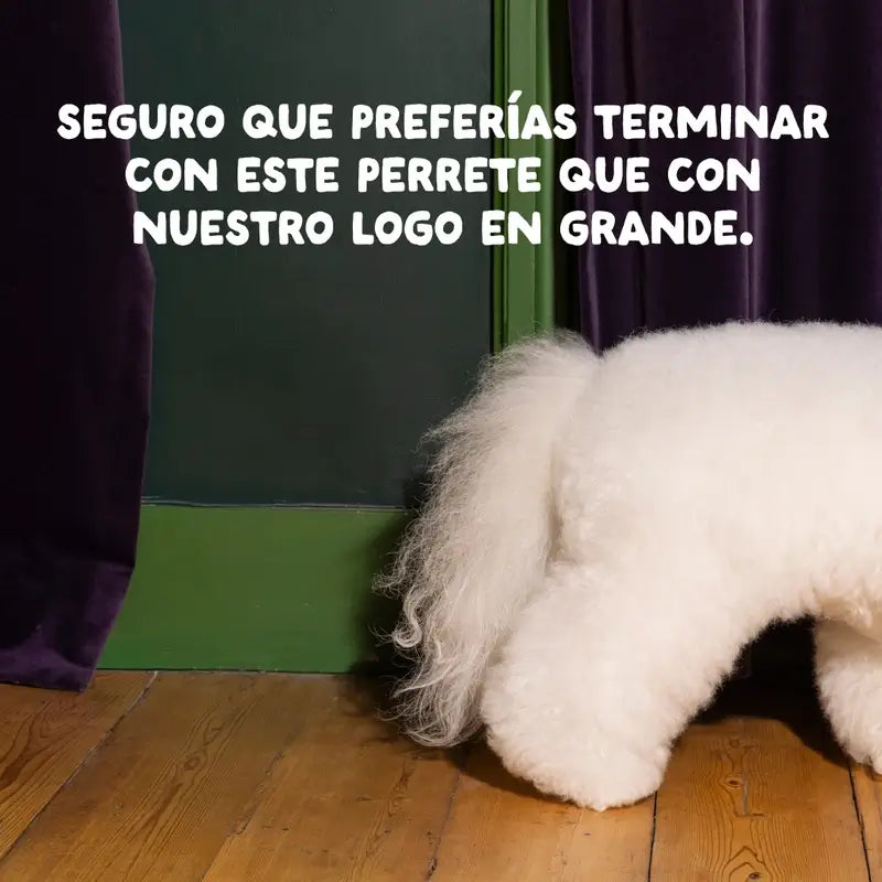 Edgard & Cooper Pienso Para Cachorros Medianos Con Salmón Y Pavo Frescos , 7 kg