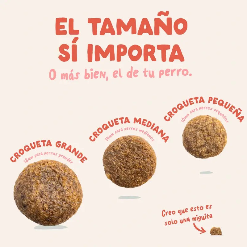 Edgard & Cooper Pienso Para Perros Senior Grandes Con Pollo Y Salmón Frescos , 12 kg
