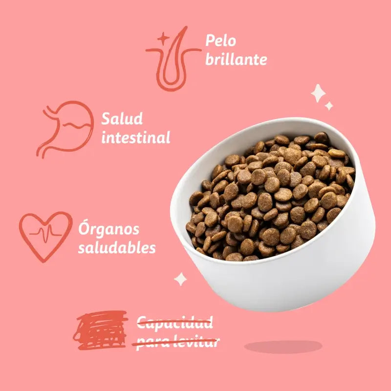 Edgard & Cooper Pienso Para Perros Senior Grandes Con Pollo Y Salmón Frescos , 12 kg