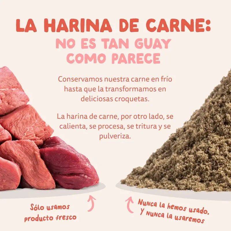 Edgard & Cooper Pienso Para Perros Senior Grandes Con Pollo Y Salmón Frescos , 12 kg
