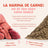 Edgard & Cooper Pienso Para Perros Senior Grandes Con Pollo Y Salmón Frescos , 12 kg