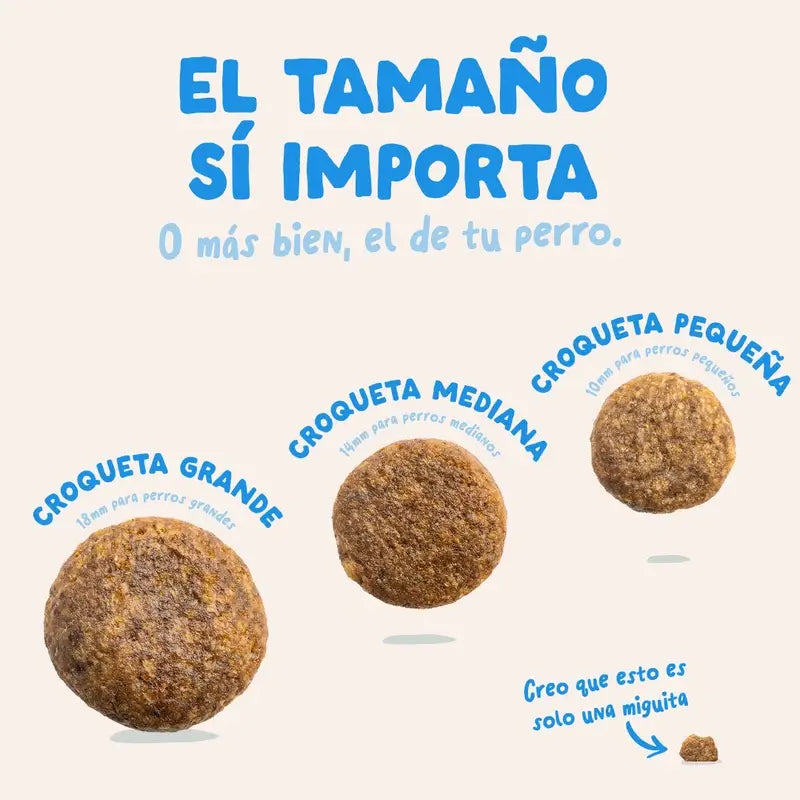 Edgard & Cooper Pienso Para Perros Adultos Grandes Con Salmón Fresco , 12 kg