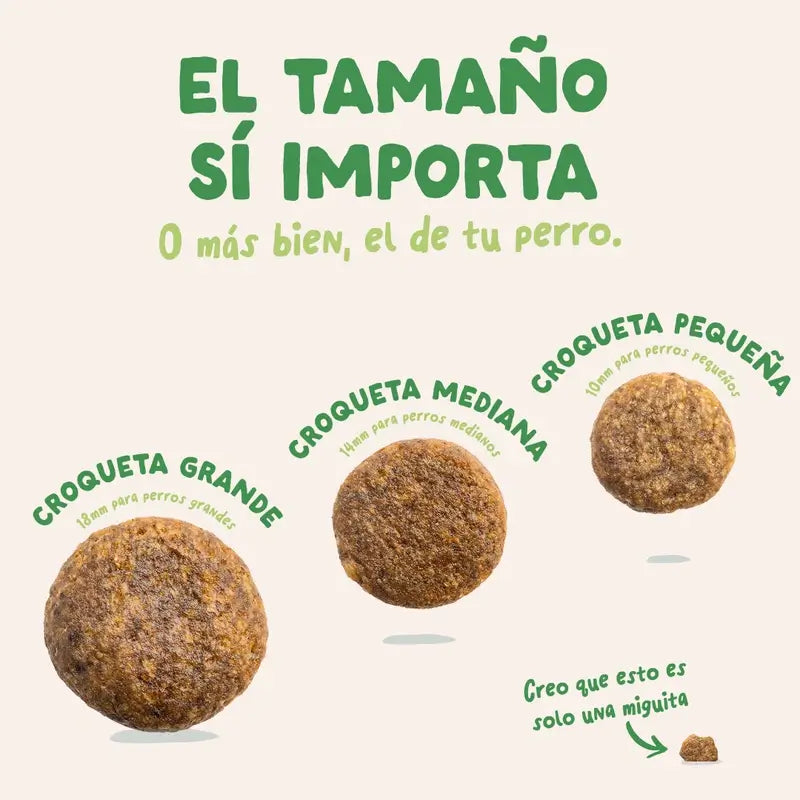 Edgard & Cooper Pienso Para Perros Adultos Medianos Con Cordero Fresco , 2,5 kg