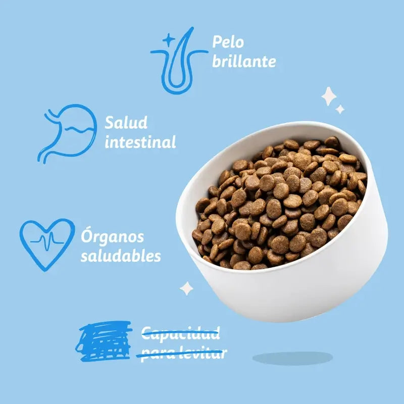 Edgard & Cooper Pienso Para Perros Adultos Medianos Con Salmón Fresco , 2,5 kg