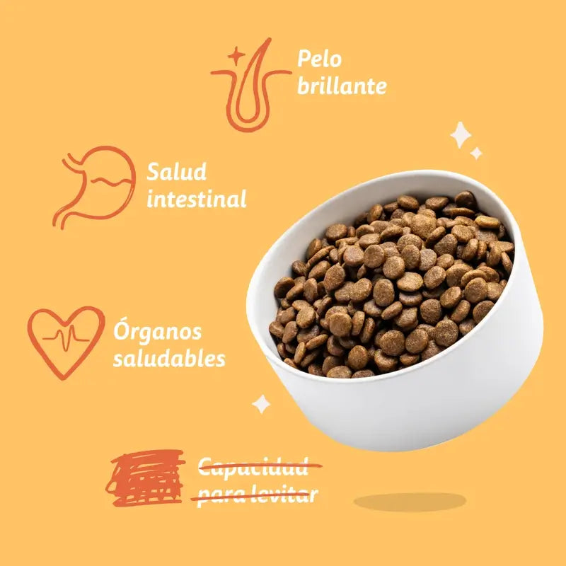 Edgard & Cooper Pienso Para Perros Adultos Medianos Con Pollo Fresco , 1 kg