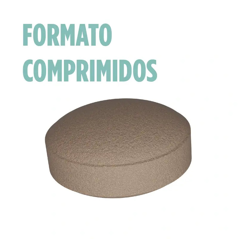 Eladiet Ginkoro, 90 comprimidos