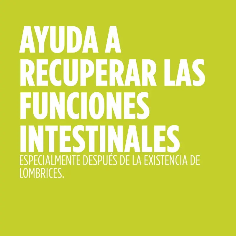 Eladiet Lombrifin Jarabe, 250 ml