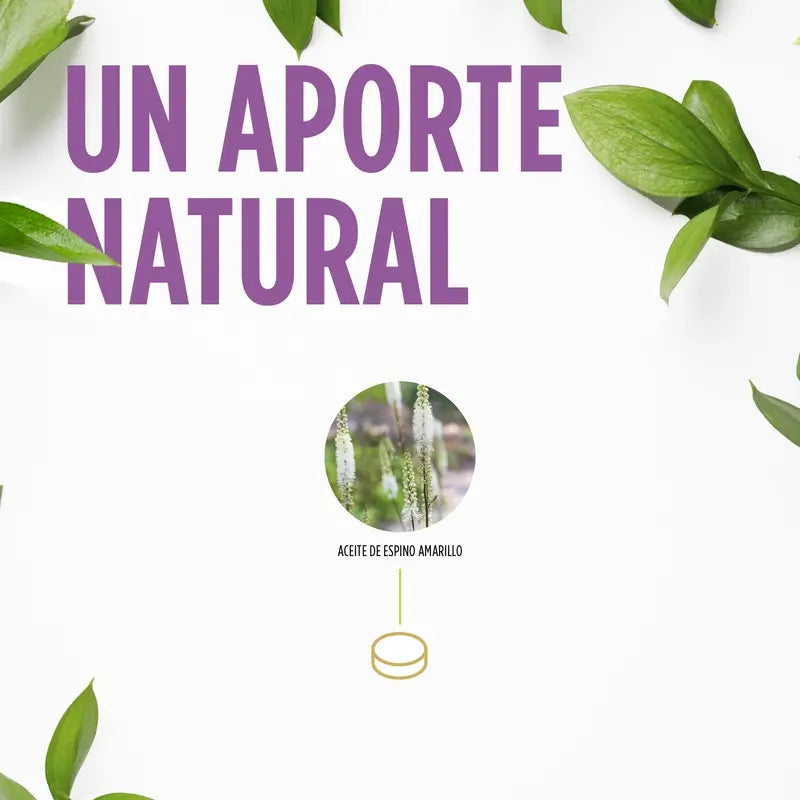 Eladiet Vita Woman Cimicifuga 60 comprimidos