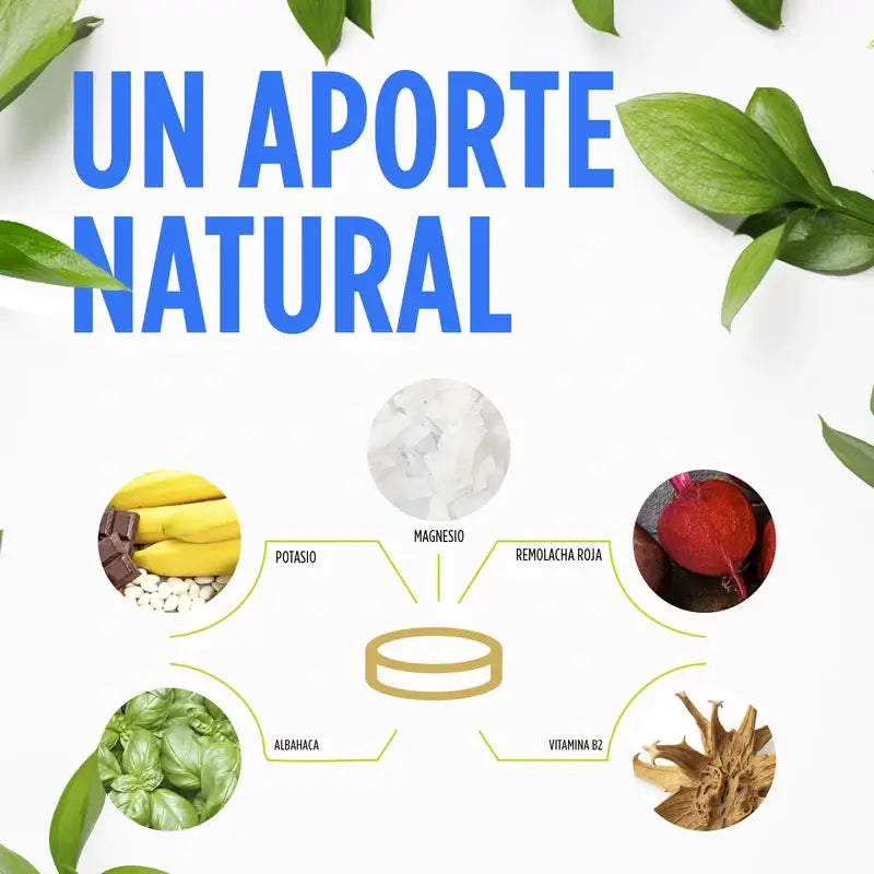 Eladiet Vit&Min Magnesio + Potasio, 14 comprimidos