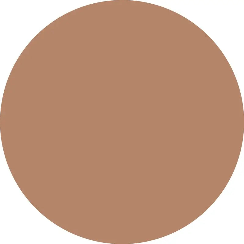 Essence Corrector Camouflage+ Matt 180 , 8 ml