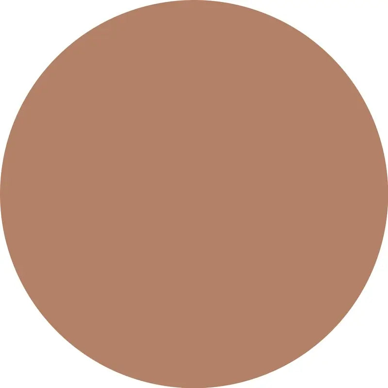 Essence Corrector Camouflage+ Matt 190 , 8 ml