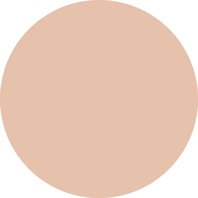 Essence Corrector Camouflage+ Matt 20 , 8 ml