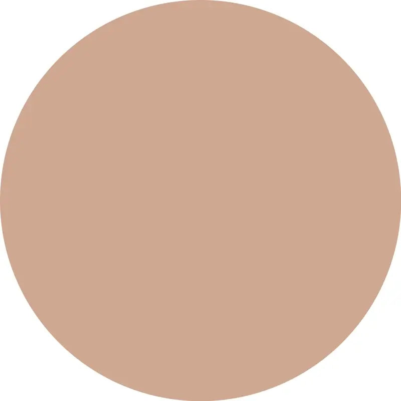 Essence Corrector Camouflage+ Matt 90 , 8 ml