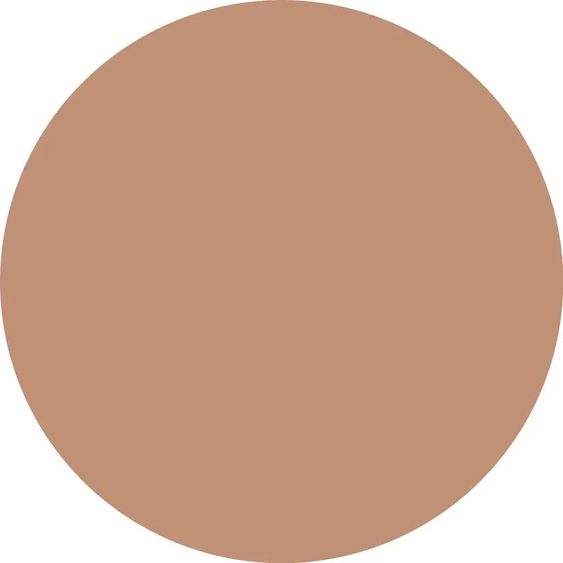 Essence Corrector Camouflage+ Matte 170, 8 ml