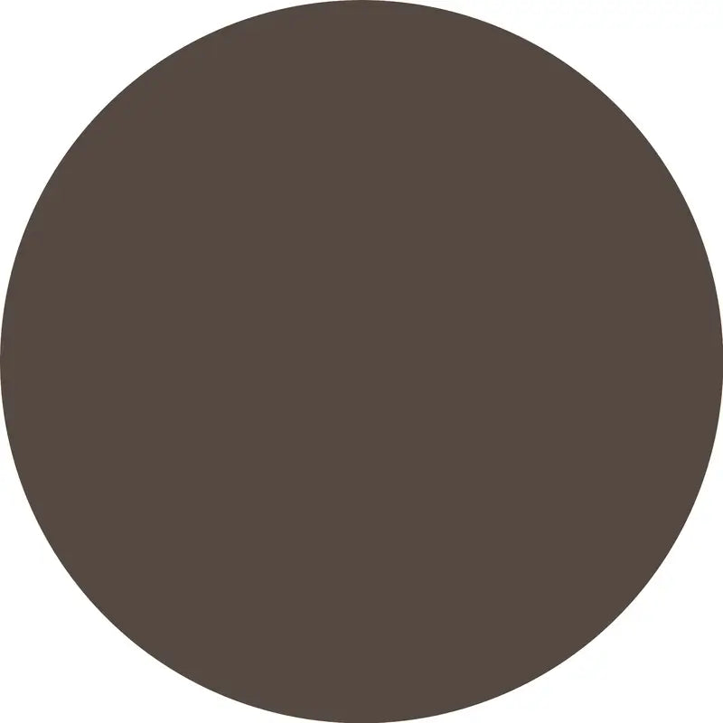Essence Lápiz De Cejas Micro Precise 06, 0,05 g