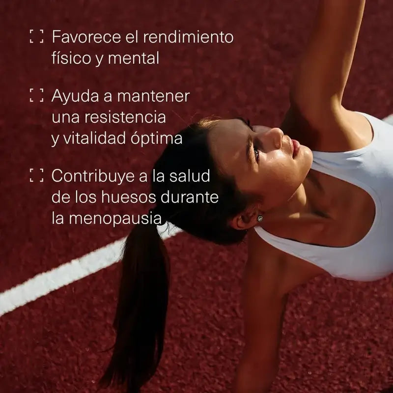 Aldous Extracto de Maca, 400 comprimidos