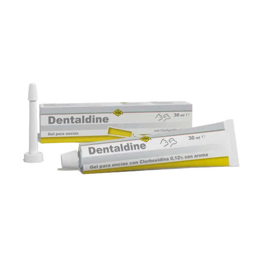 Fatro Dentaldine Gel Oral, 30 ml