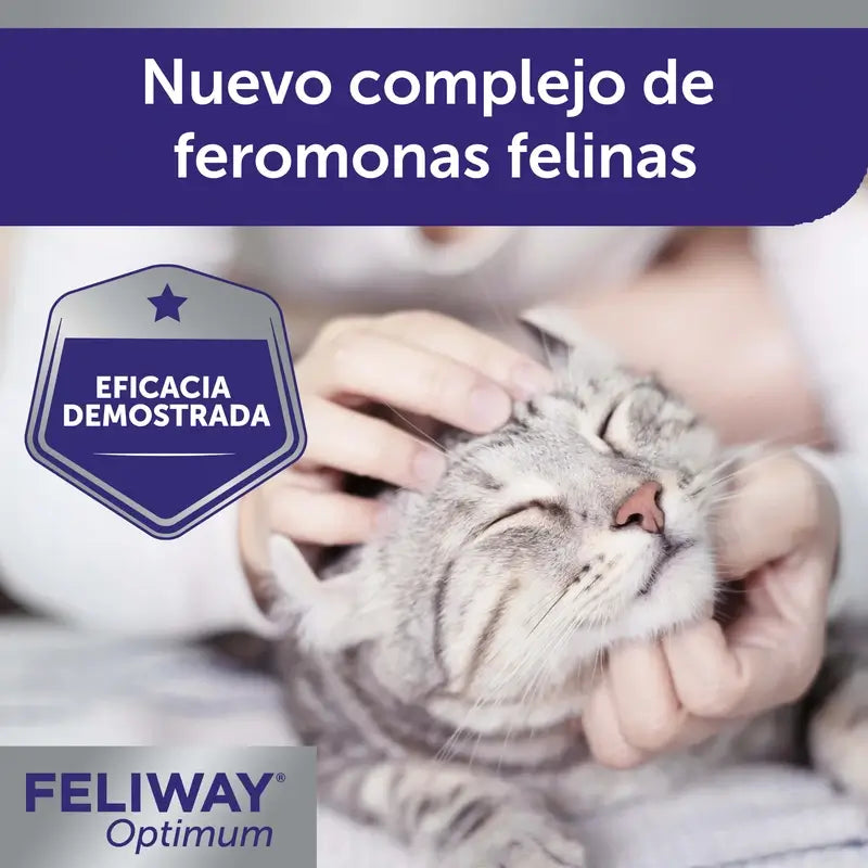 Feliway Optimum Recambio 48 ml