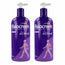 Fisiocrem Gel Active 600 ml , pack 2