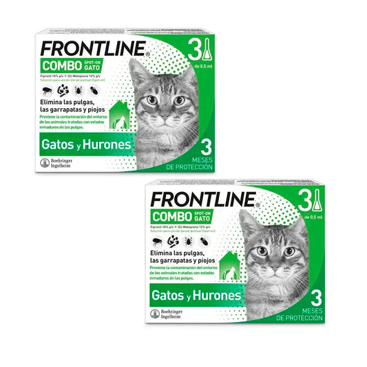 Frontline Combo Gatos y Hurones, Pack 2 x 3 Pipetas x 0,5 ml