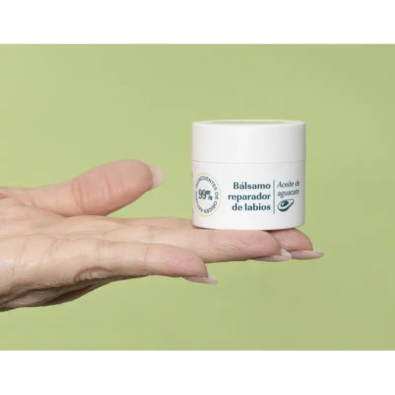 Green Cornerss Bálsamo Labial de Aguacate, 15 ml