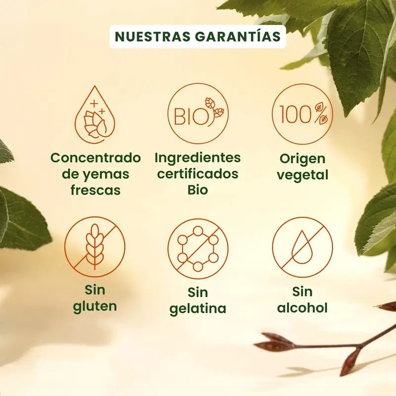 Herbalgem Gemmocaps Stress Protect Cognición, 30 cápsulas