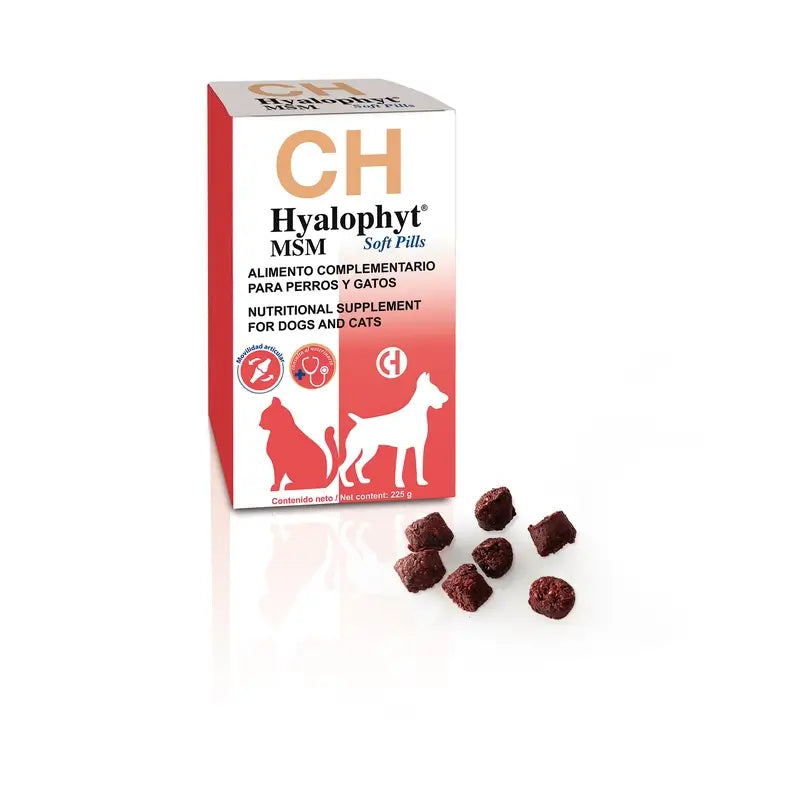 Chemical Hyalophyt Msm Soft Pills, 225Gr