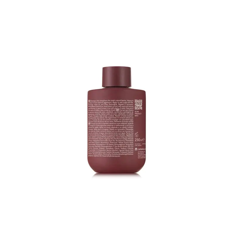Iraltone Champú Repara Y Refuerza Barrier Comfort, 250 ml