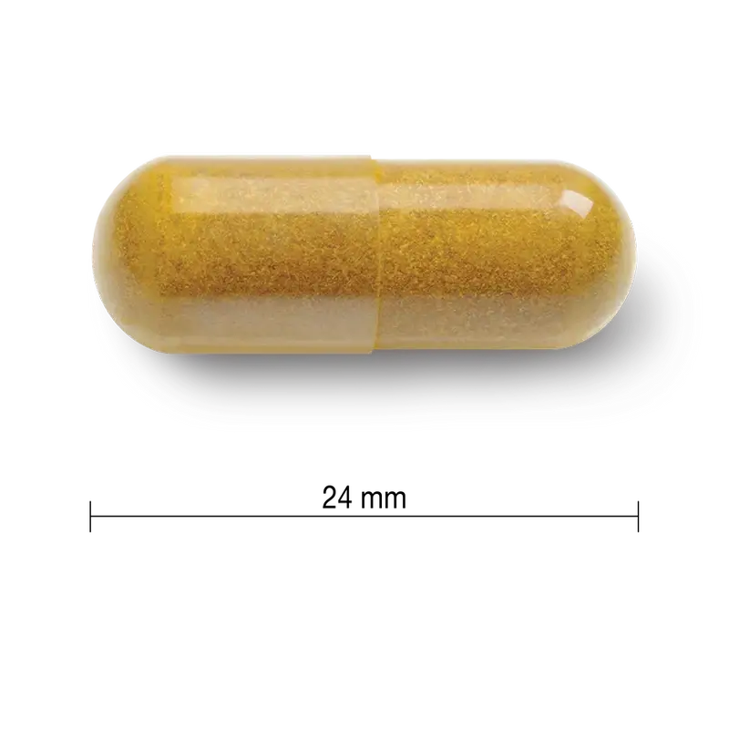 Jamieson Curcumina Curcuma 550Mg , 60 capsulas