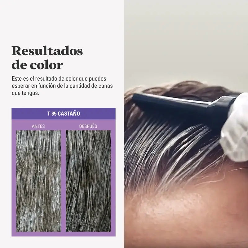 Just For Men Touch Of Grey Castaño