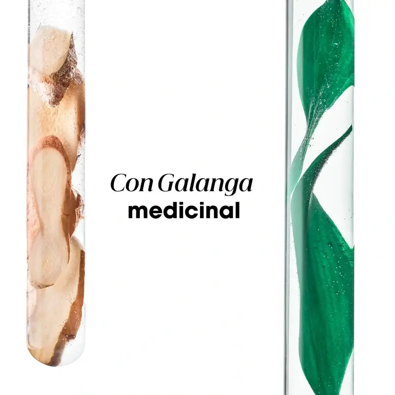 Klorane Champú Anticaspa Tratante Reequilibrante A La Galanga, 400 ml