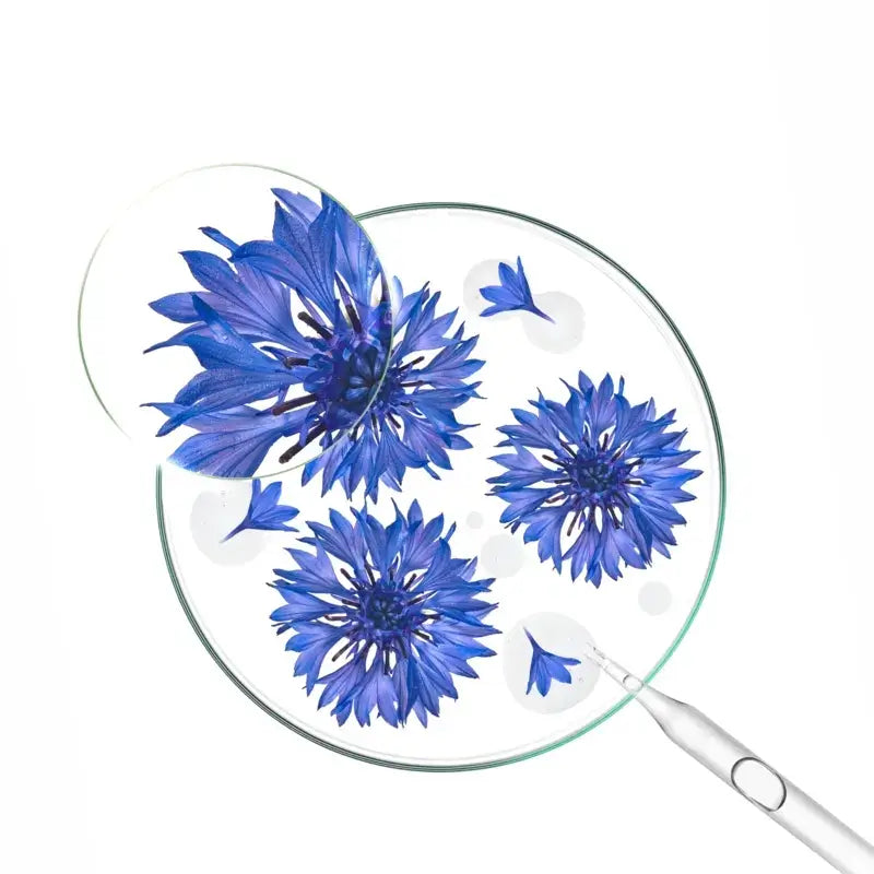 Klorane Gel Crema al Agua de Aciano 50 Ml